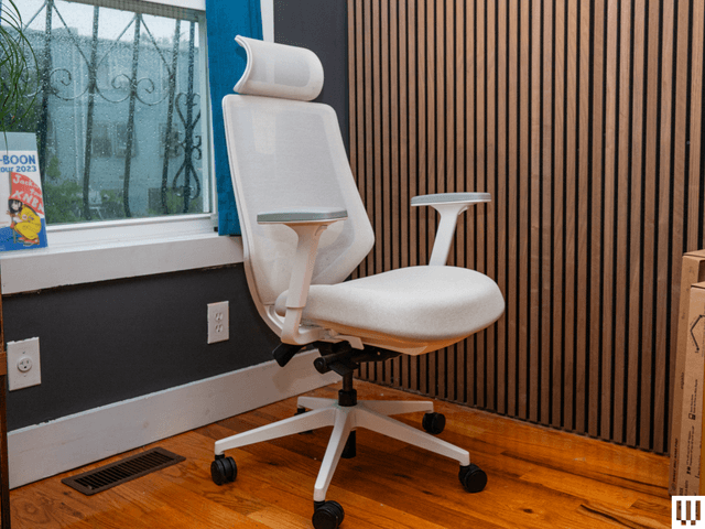 Branch Ergonomic Chair