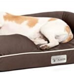 Best Dog Beds UK 2026 — Memory Foam vs Orthopedic for All Breeds