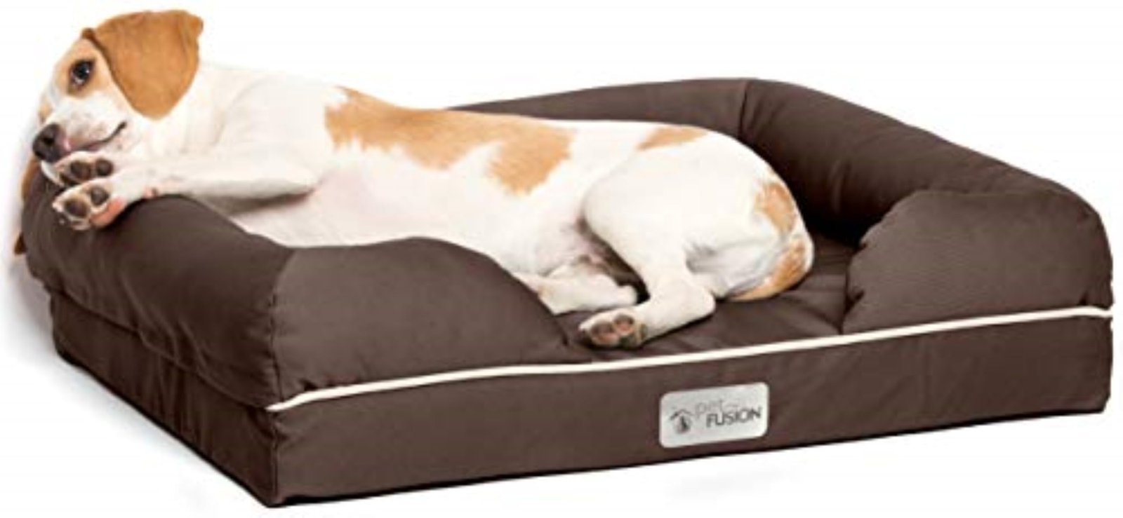 Best Dog Beds UK 2026 — Memory Foam vs Orthopedic for All Breeds
